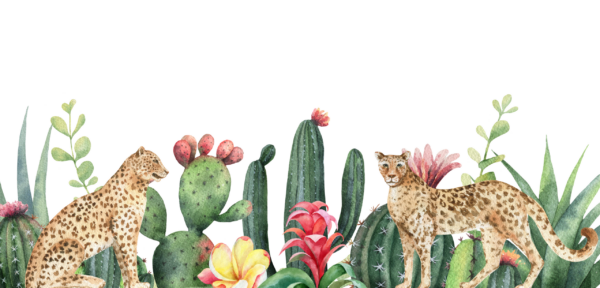 Papier peint Des guépards parmi les cactus