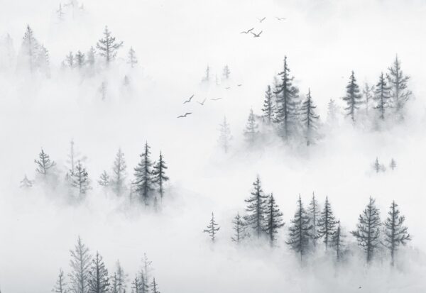 Papier peint Forêt grise enveloppée d'un épais brouillard blanc