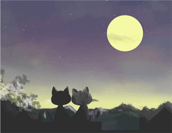 Papier peint Chats sous la lune