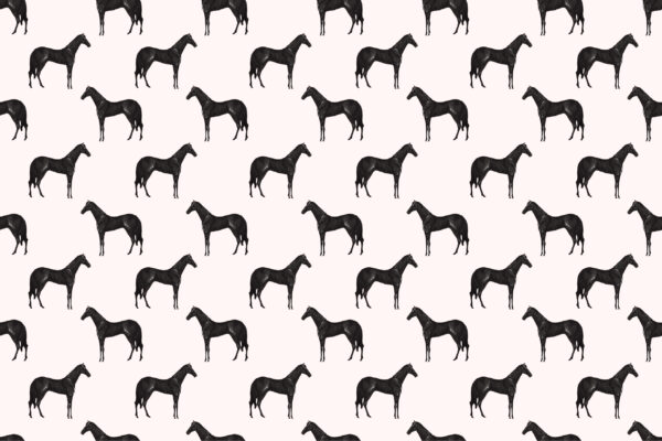 Papier peint Galop d'élégance