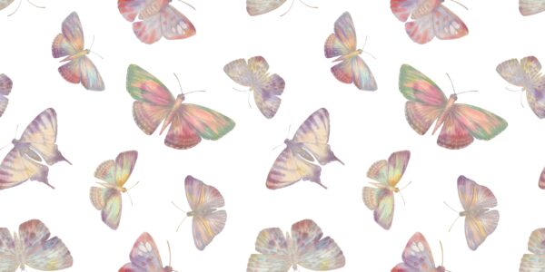 Papier peint Papillons pastel