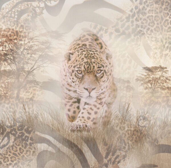 Papier peint L'élégance sauvage de la savane