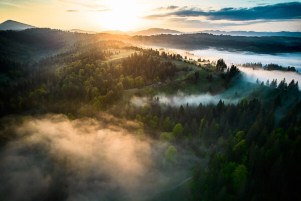 Papier peint Matin brumeux en montagne