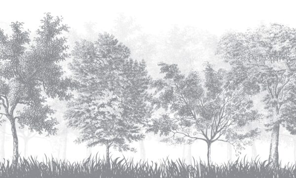 Papier peint Clairière grise