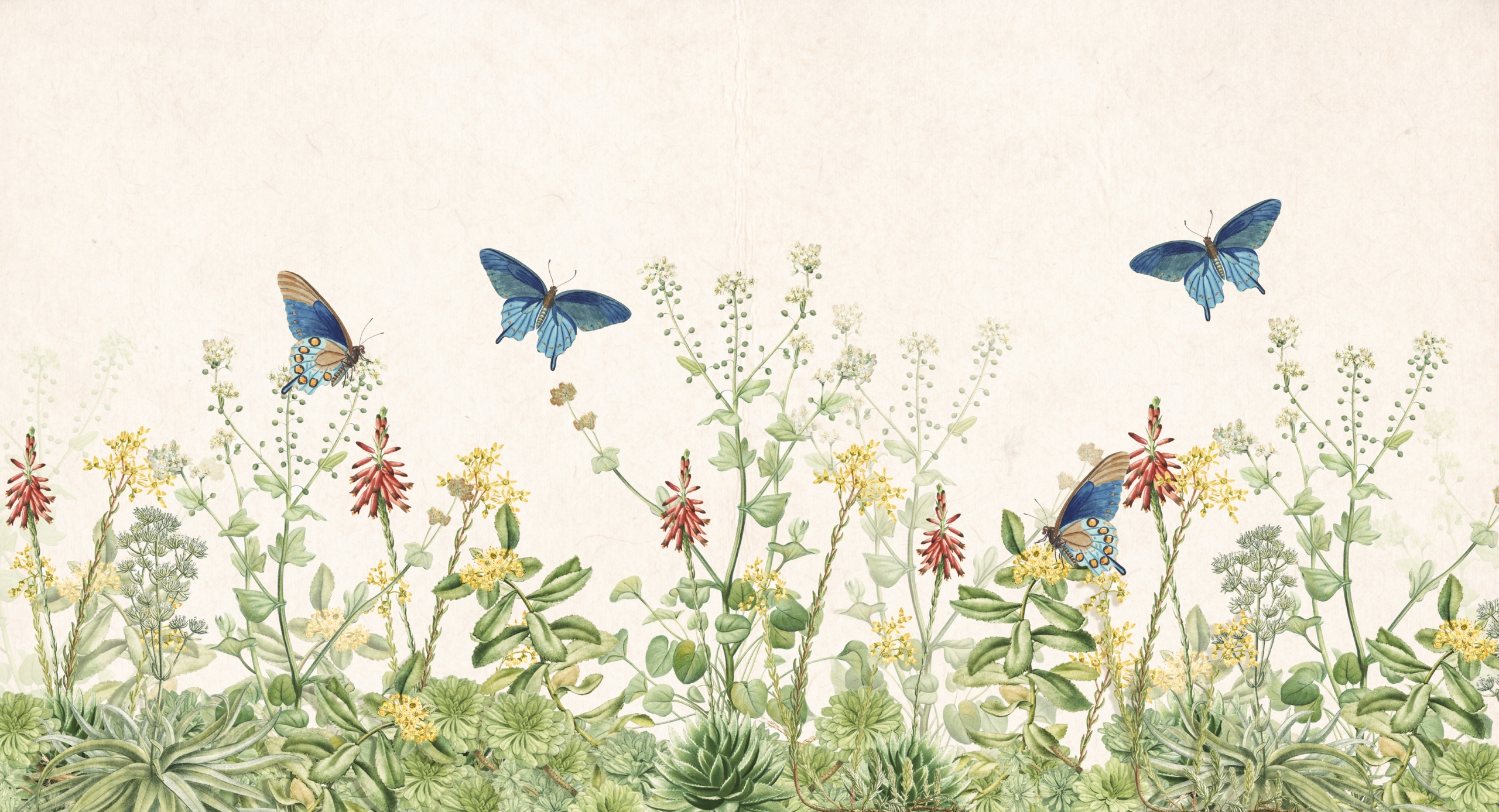 Butterfly,,Bugs,And,Plans,Background,Botanical,Theme