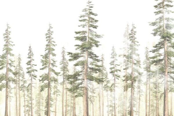 Papier peint Vue sur la forêt
